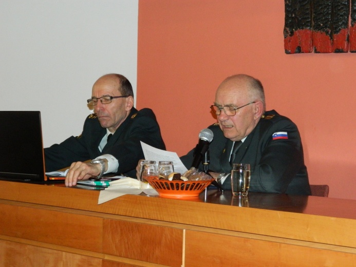 Organizacijsko statutarna dejavnost